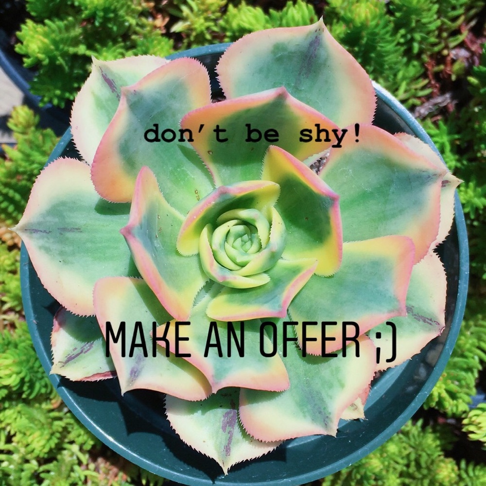 come view my closet! <3